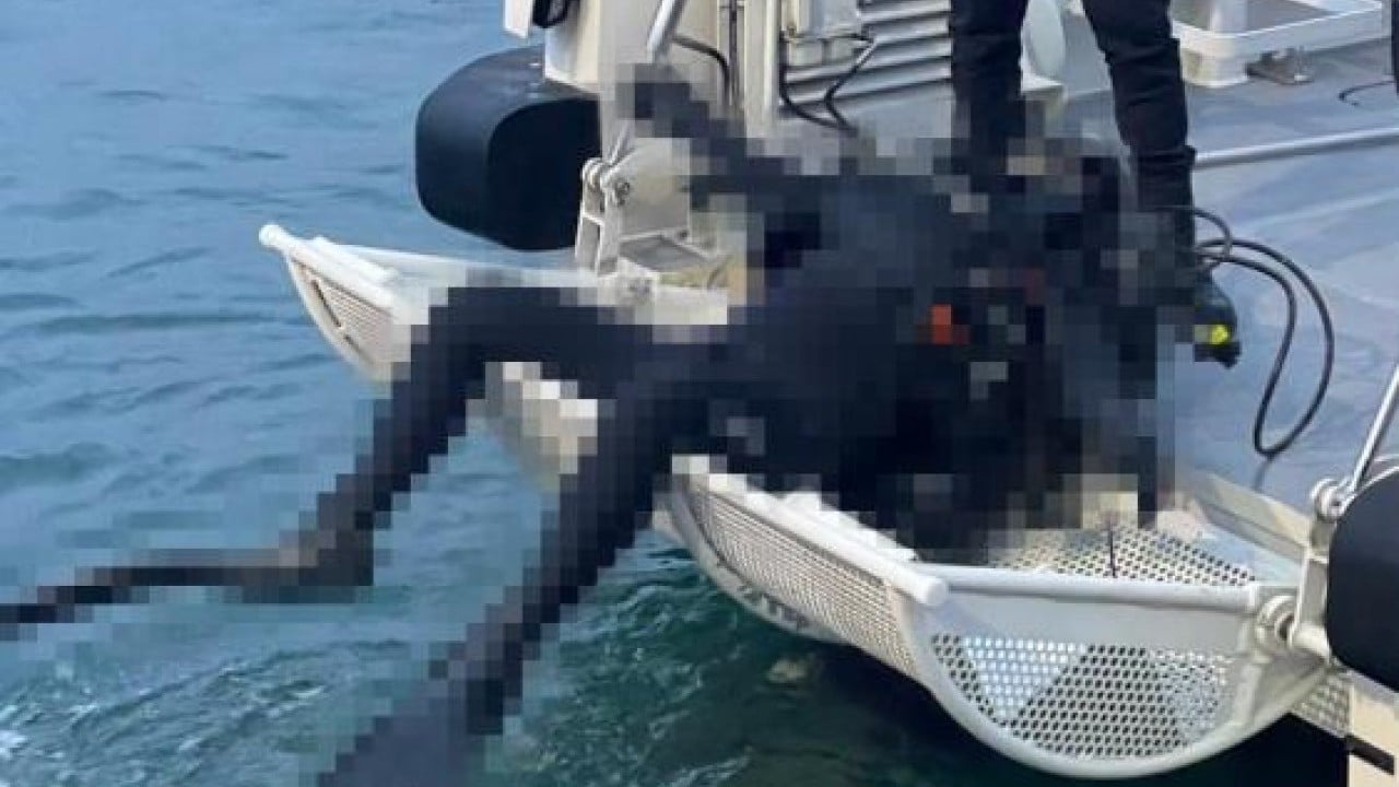 Foto - Esrarengiz dalgıç cesedi bilmecesi