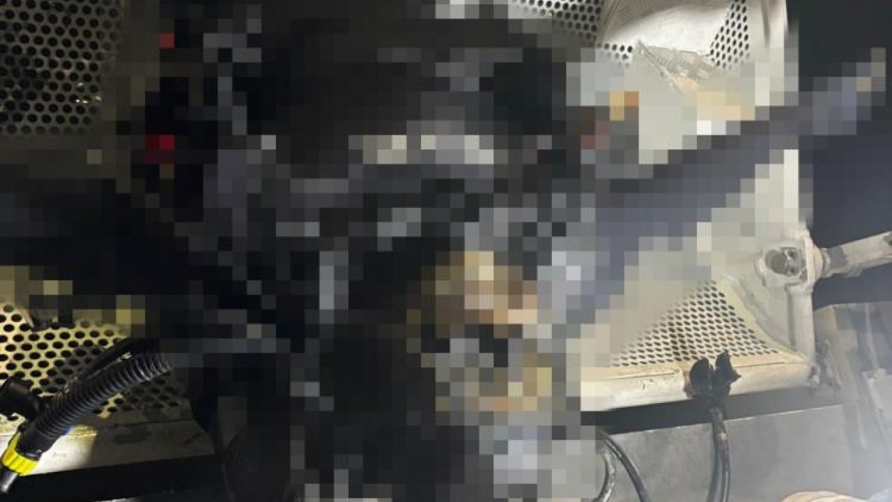 Foto - Esrarengiz dalgıç cesedi bilmecesi