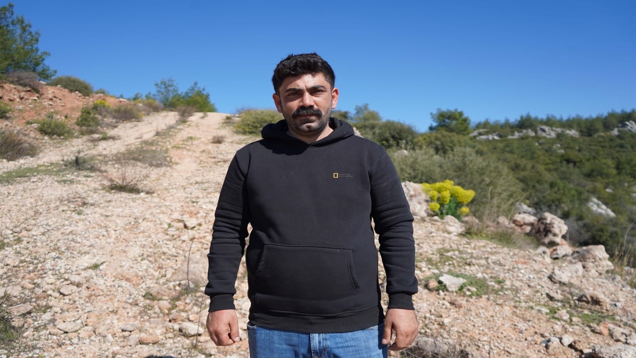 Foto - "Estetik" adı altında kanlı ticaret! 26 günlük yavru köpeğe akılalmaz işkence 