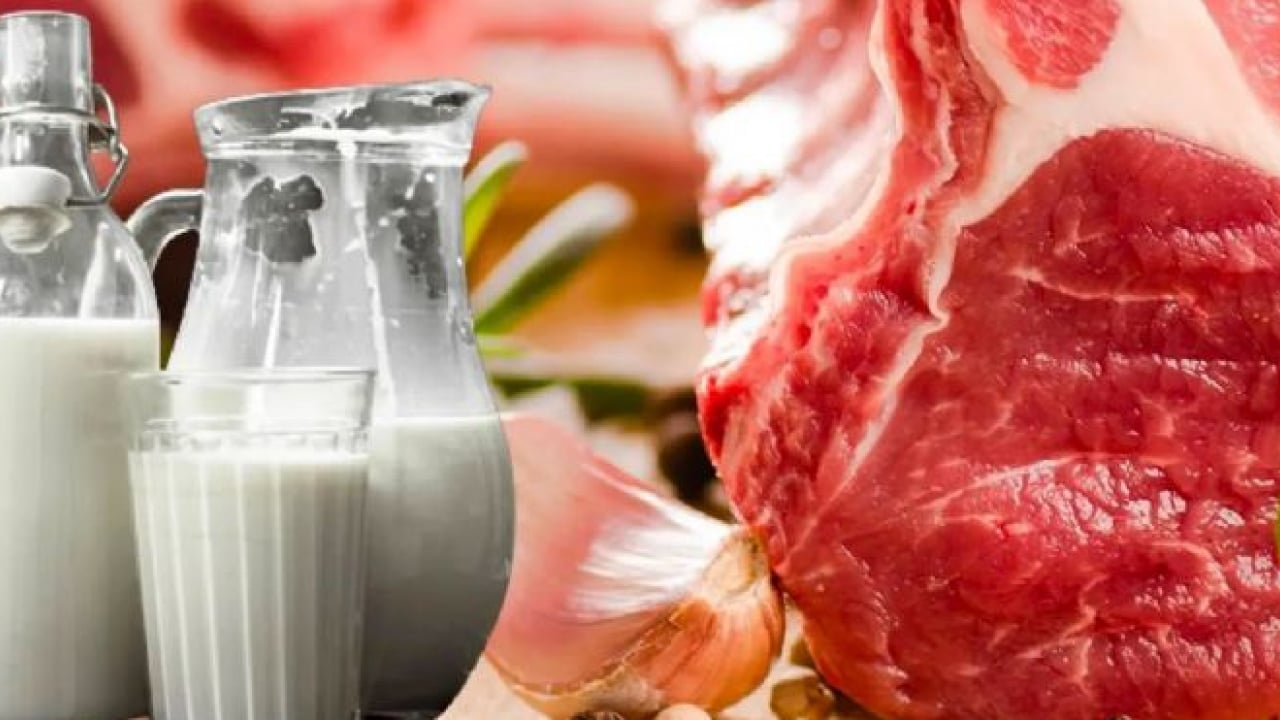 Foto - Et ve süt krizi bekleyenlere kötü haber: Kendine başka bir konu bul fondaş medya