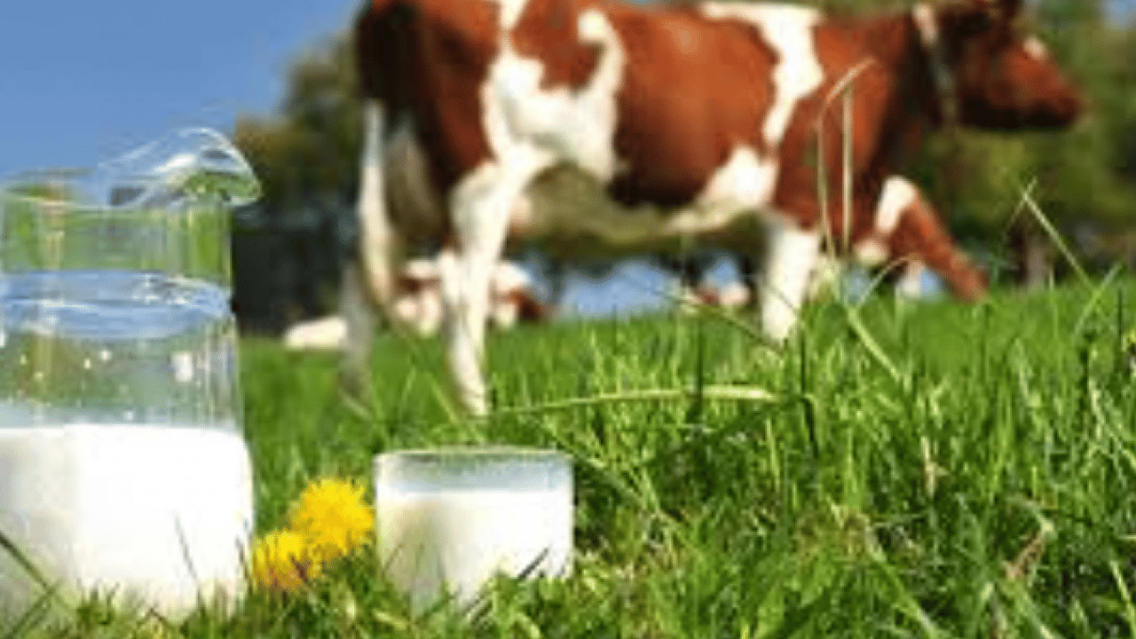 Foto - Et ve süt krizi bekleyenlere kötü haber: Kendine başka bir konu bul fondaş medya