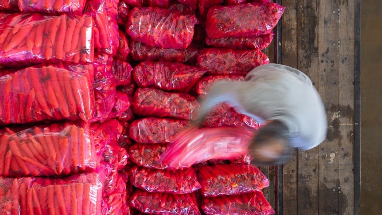 Foto - Etkili olan yağışlar havuca yaradı! Şimdi hasat zamanı 