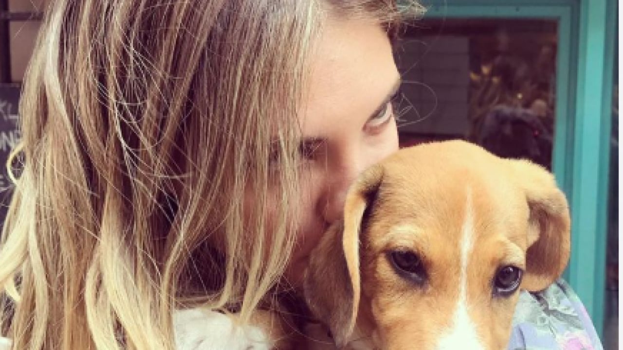 Foto - Etme bulma dünyası: Eda Ece başıboş köpeğin saldırısına uğradı!