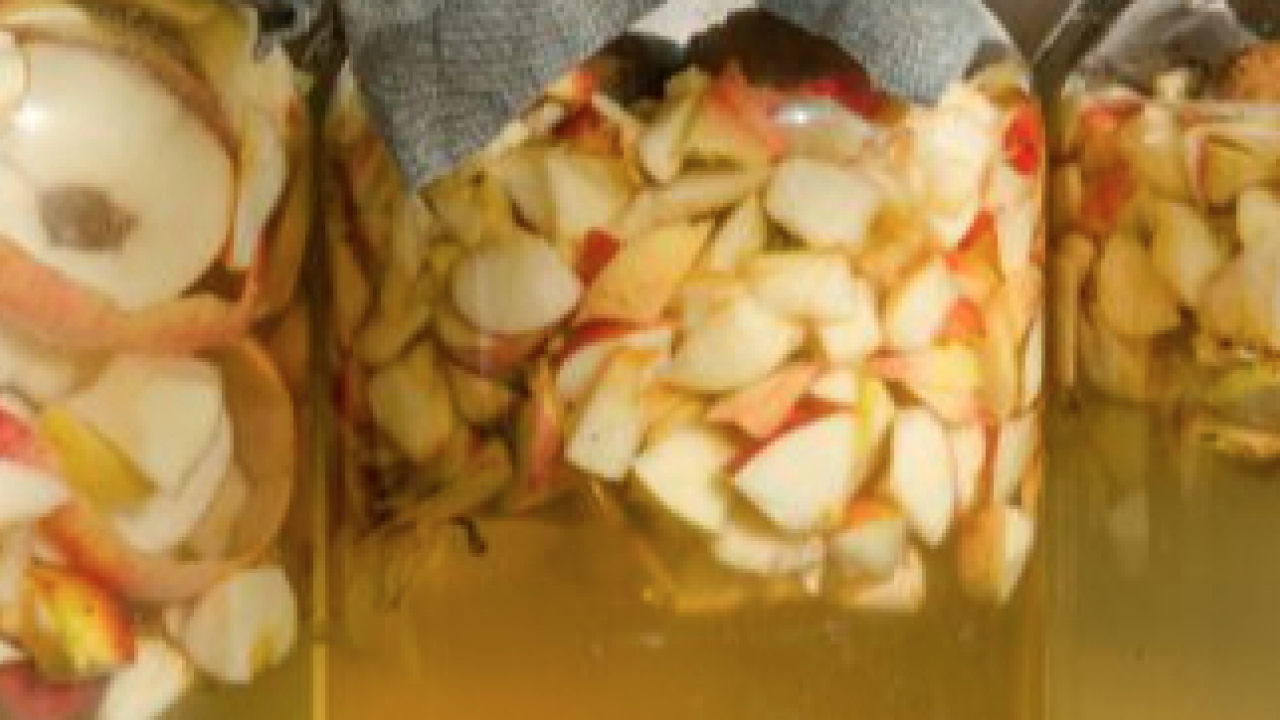 Foto - Ev yapımı elma sirkesi tarifi Feridun Kunak'tan: kilo kilo alıp boşuna fazla para vermeyin! Organik meyve tedarik edin