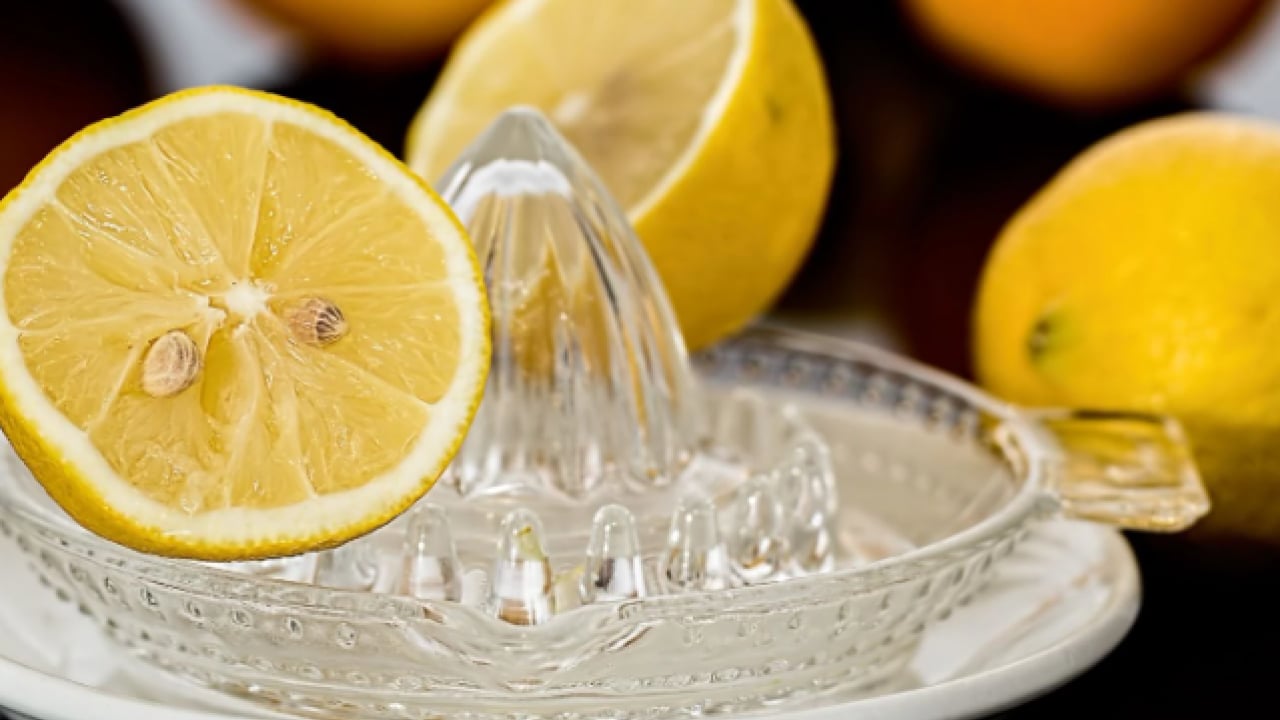 Foto - Evcil hayvan besleyenler dikkat! Kedi tüyünden kurtulmanın basit yolu açıklandı