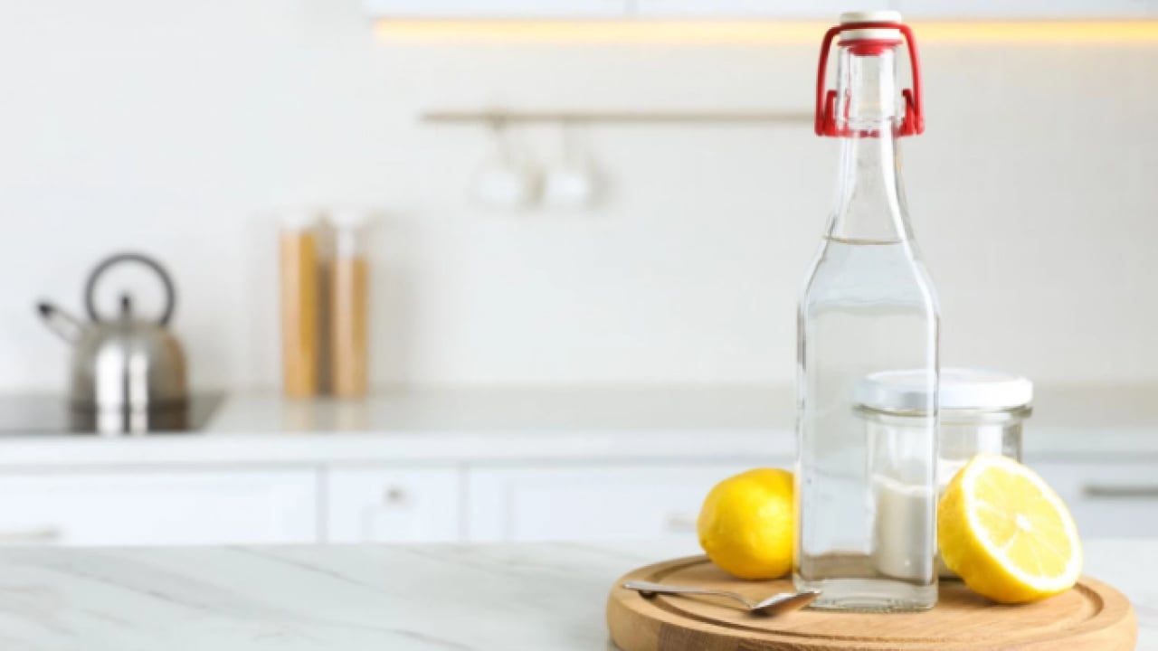 Foto - Evcil hayvan besleyenler dikkat! Kedi tüyünden kurtulmanın basit yolu açıklandı