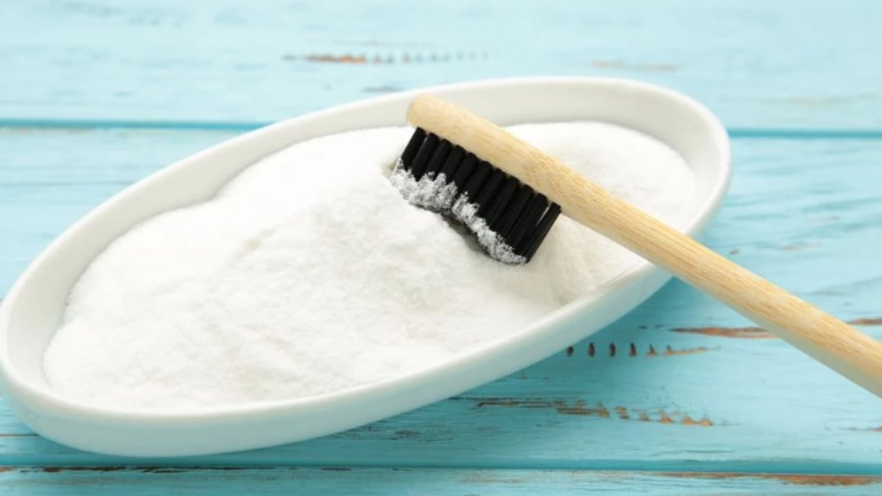 Foto - Evcil hayvan besleyenler dikkat! Kedi tüyünden kurtulmanın basit yolu açıklandı