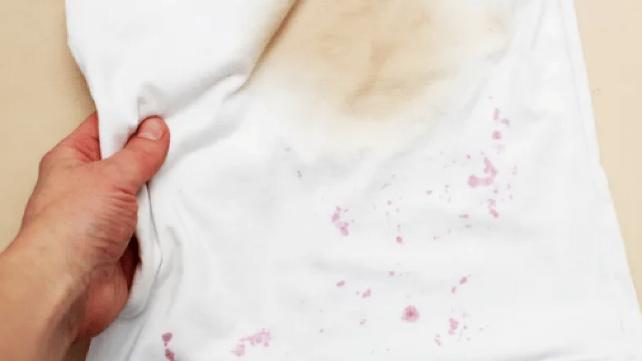 Foto - Evde 5 basit adımda lekelere veda... Damlayan meyve lekeleri kabus olmasın!