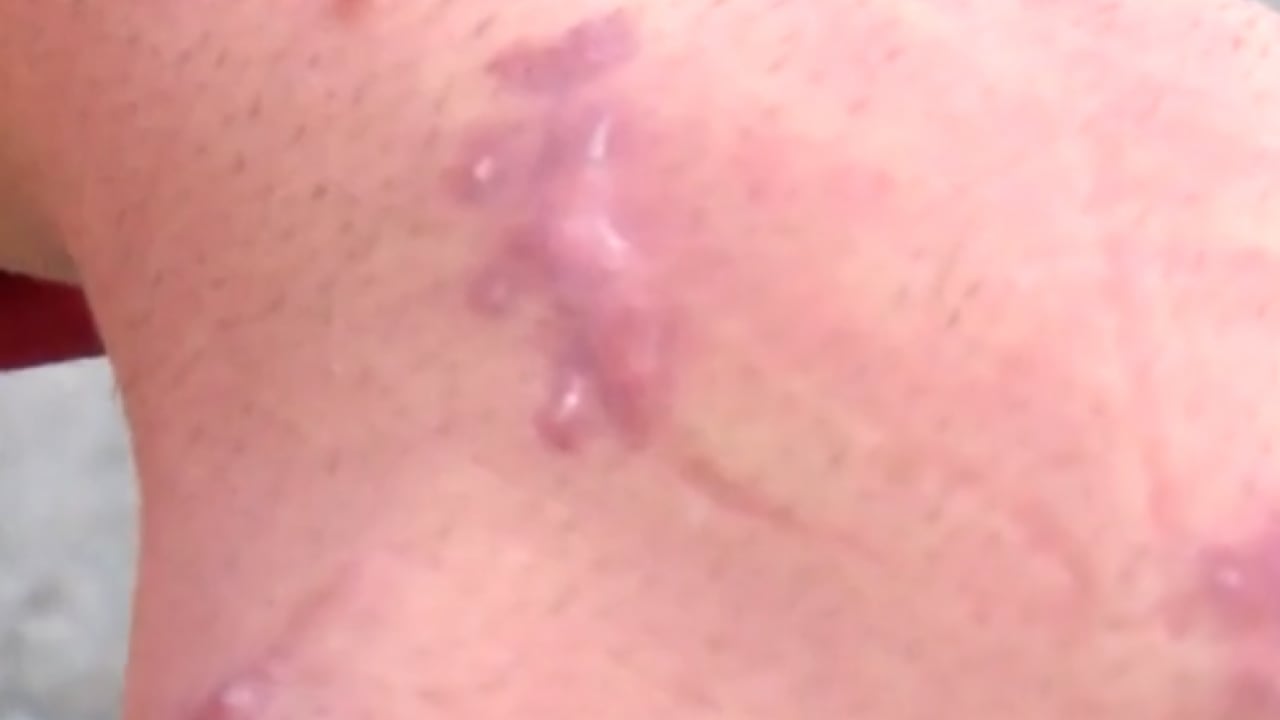 Foto - Evde beslediği kedi hayatını kararttı: Sorumlulardan şikayetçi oldu!