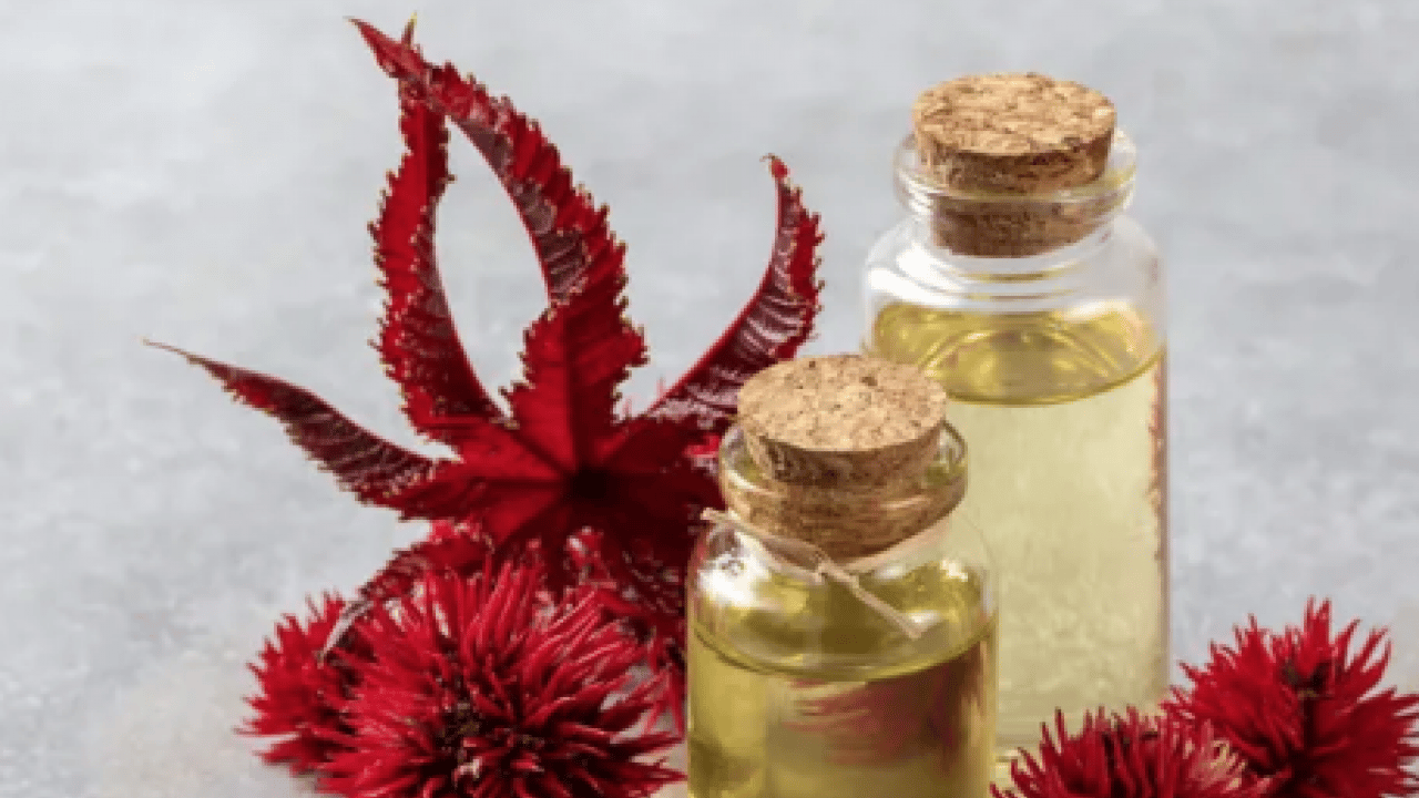 Foto - Evde uygulayın: Seyrelen kaşları anında gürleştiren yöntem! Tek damlası anında kökleri...