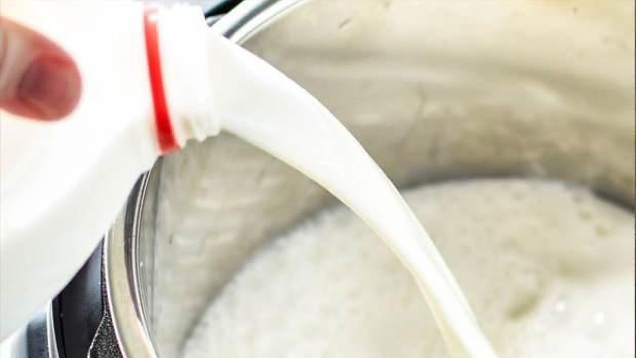 Foto - Evde yoğurt keyfi artıyor! Bu süt lezzeti 10 kat yükseltiyor