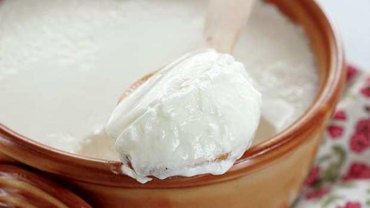 Foto - Evde yoğurt keyfi artıyor! Bu süt lezzeti 10 kat yükseltiyor