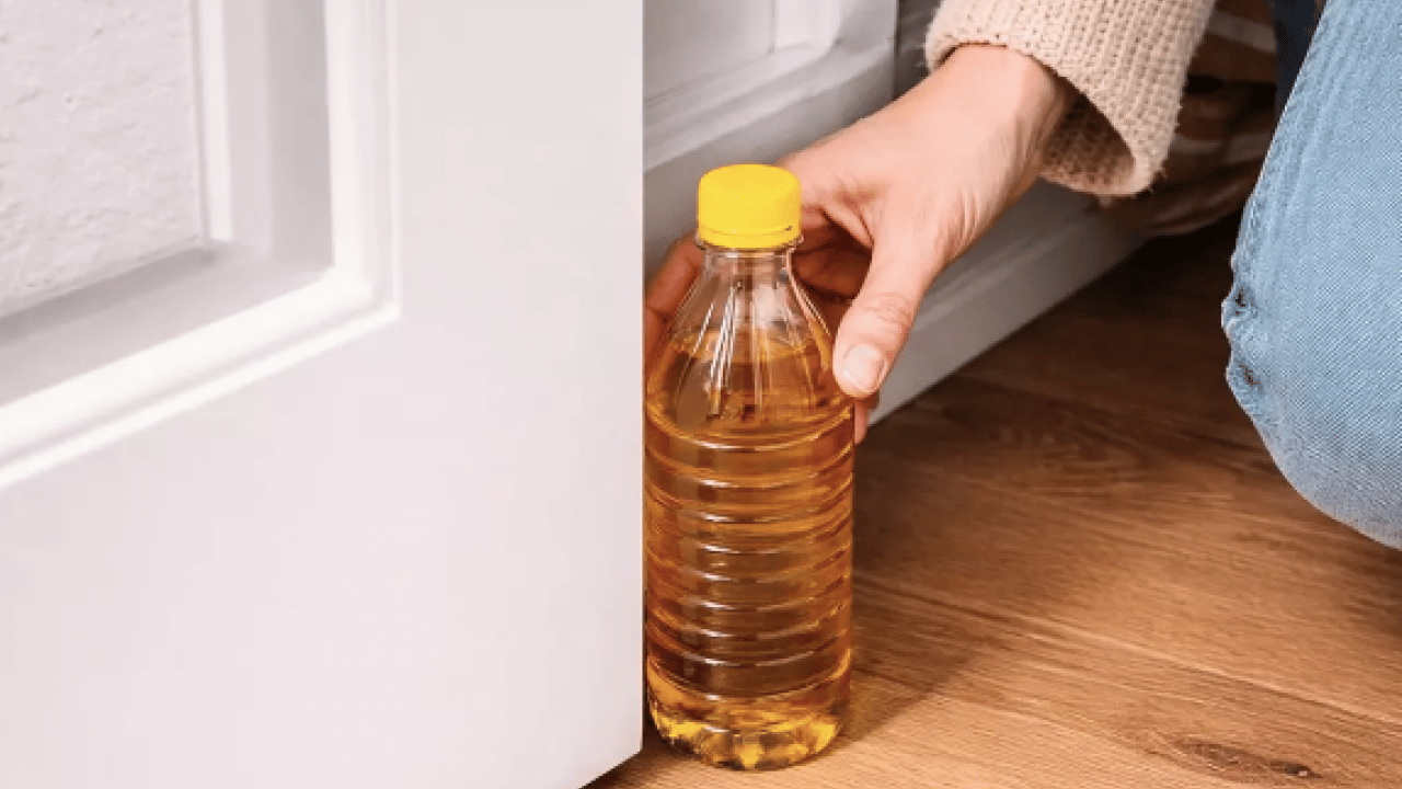 Foto - Evdeki bu köşelere bir bardak koyun ve sonucu görün! Mikropları öldürmekle kalmaz...