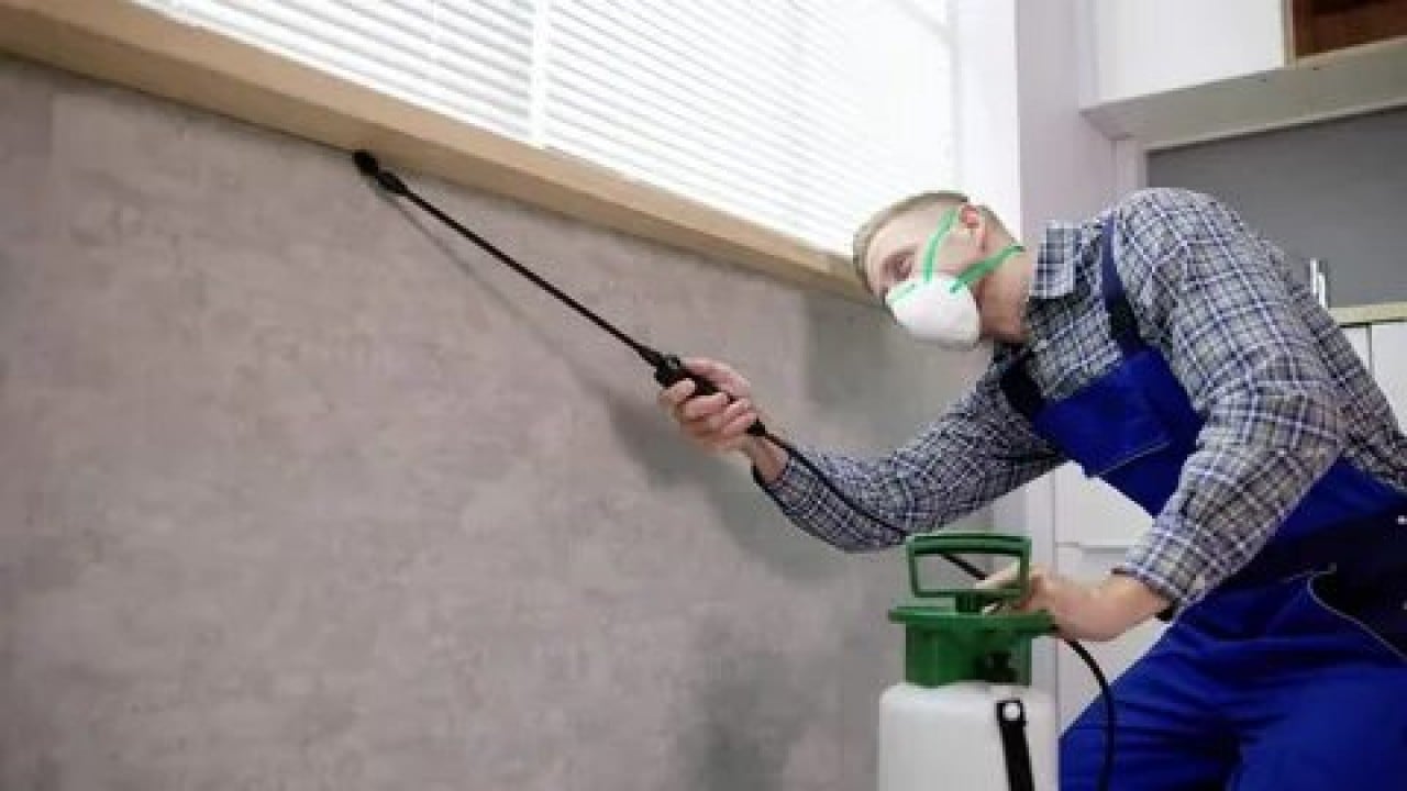 Foto - Evdeki tehlike göz göre göre gelmiş! Uzmanlar uyarıyor: bu ilaçlar ölümcül olabilir