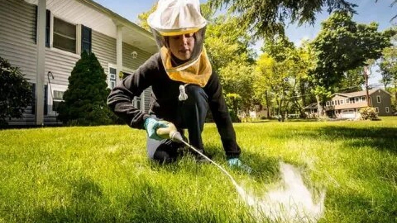 Foto - Evdeki tehlike göz göre göre gelmiş! Uzmanlar uyarıyor: bu ilaçlar ölümcül olabilir