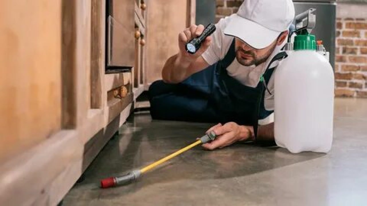 Foto - Evdeki tehlike göz göre göre gelmiş! Uzmanlar uyarıyor: bu ilaçlar ölümcül olabilir