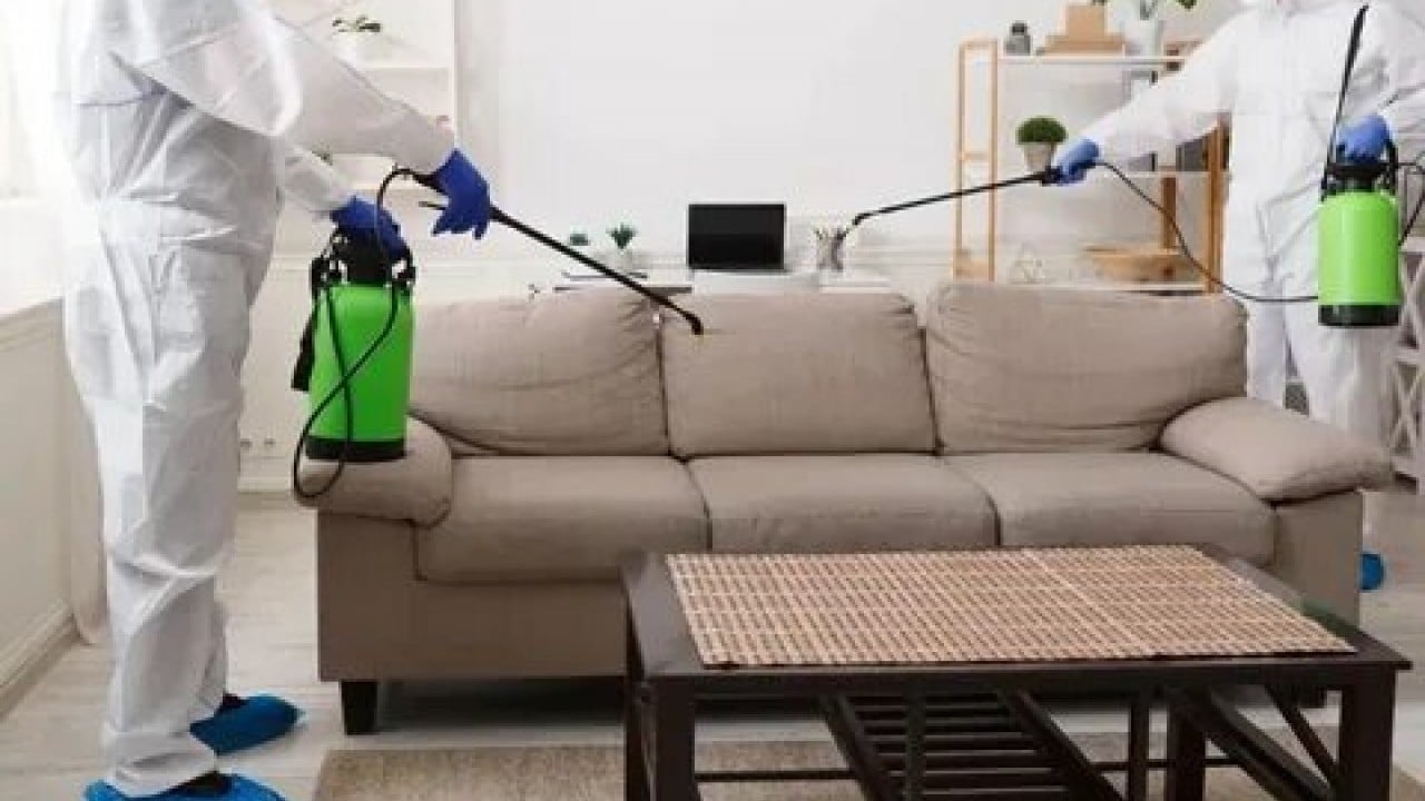 Foto - Evdeki tehlike göz göre göre gelmiş! Uzmanlar uyarıyor: bu ilaçlar ölümcül olabilir