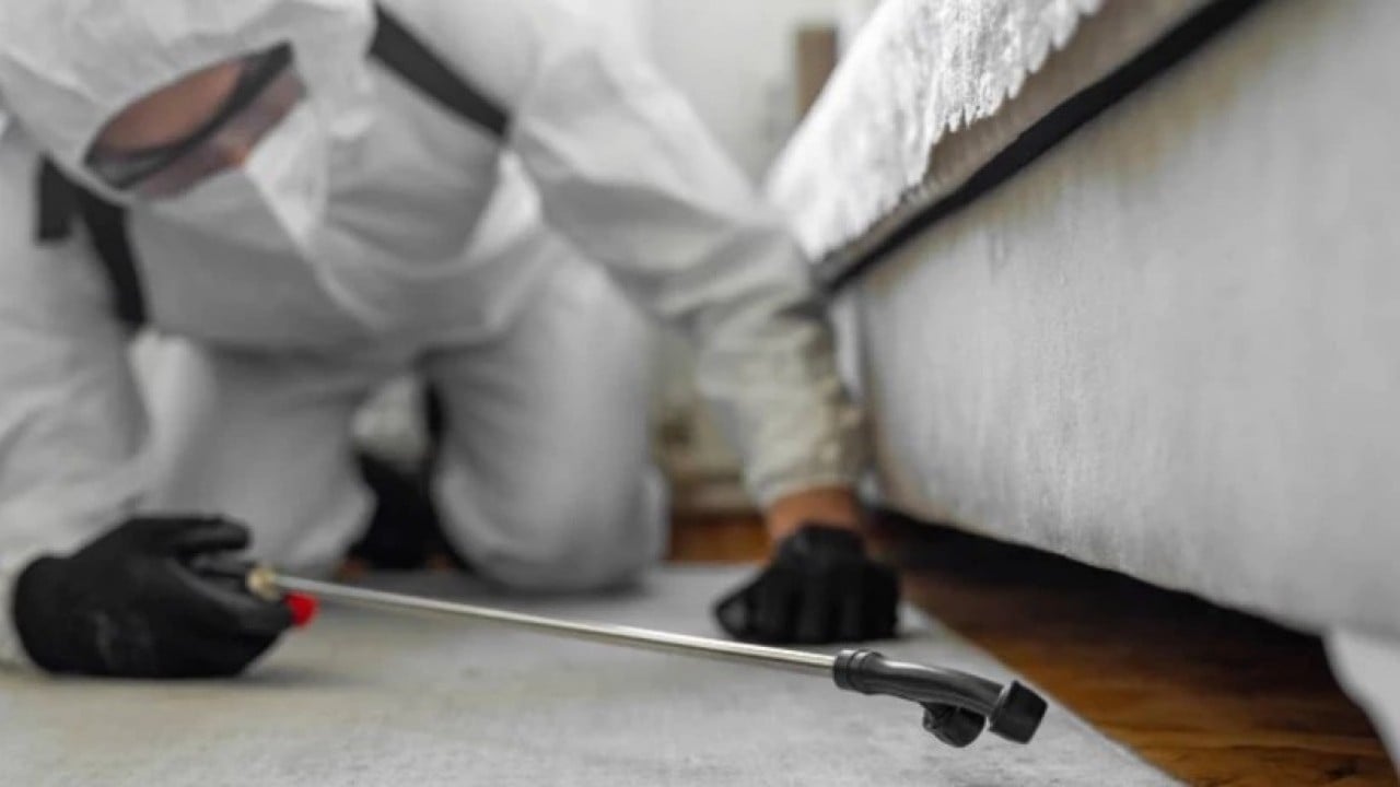 Foto - Evdeki tehlike göz göre göre gelmiş! Uzmanlar uyarıyor: bu ilaçlar ölümcül olabilir