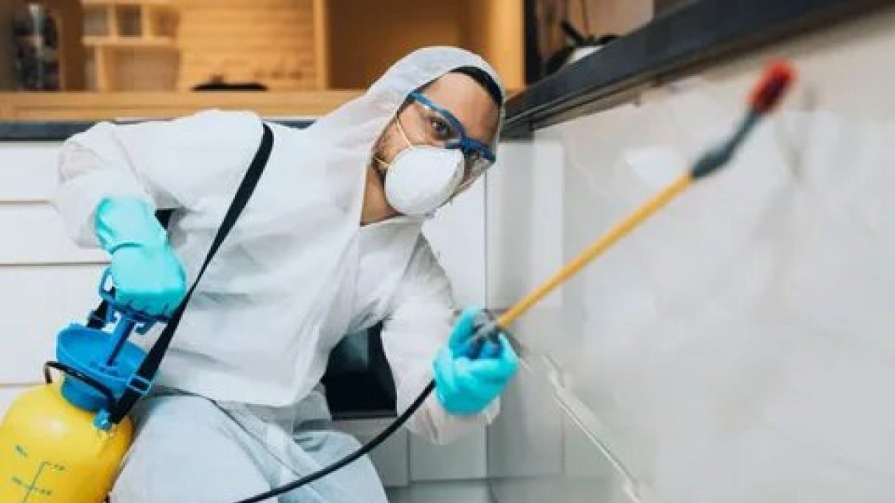 Foto - Evdeki tehlike göz göre göre gelmiş! Uzmanlar uyarıyor: bu ilaçlar ölümcül olabilir