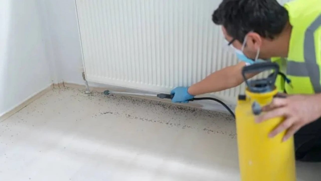 Foto - Evdeki tehlike göz göre göre gelmiş! Uzmanlar uyarıyor: bu ilaçlar ölümcül olabilir