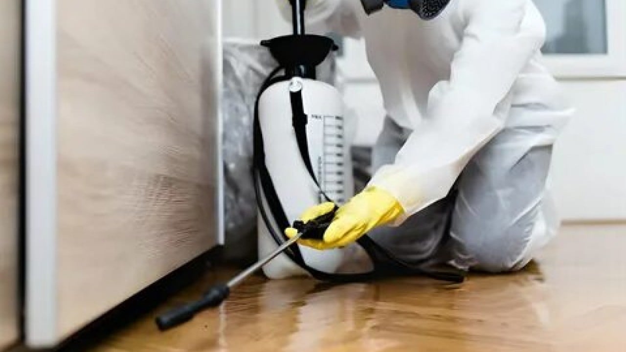 Foto - Evdeki tehlike göz göre göre gelmiş! Uzmanlar uyarıyor: bu ilaçlar ölümcül olabilir