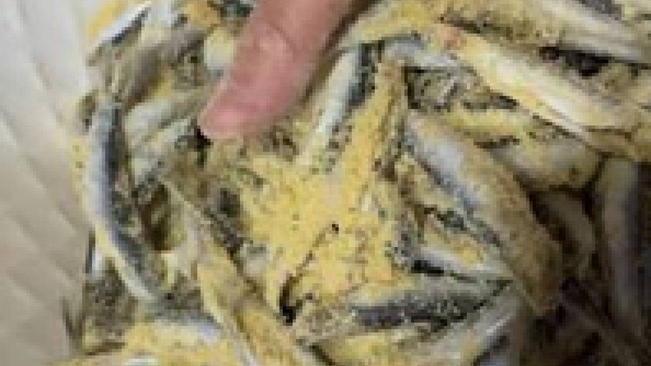 Eve sinen balık kokusunu anında yok ediyor! Sadece bir yaprak koyun! İşte yöntemi, formülü bu