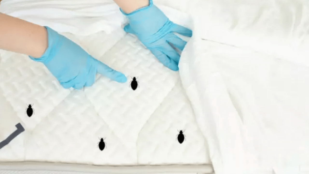 Foto - Evin içinde görünmeyen düşman: Çocuk sağlığını tehdit ediyor!