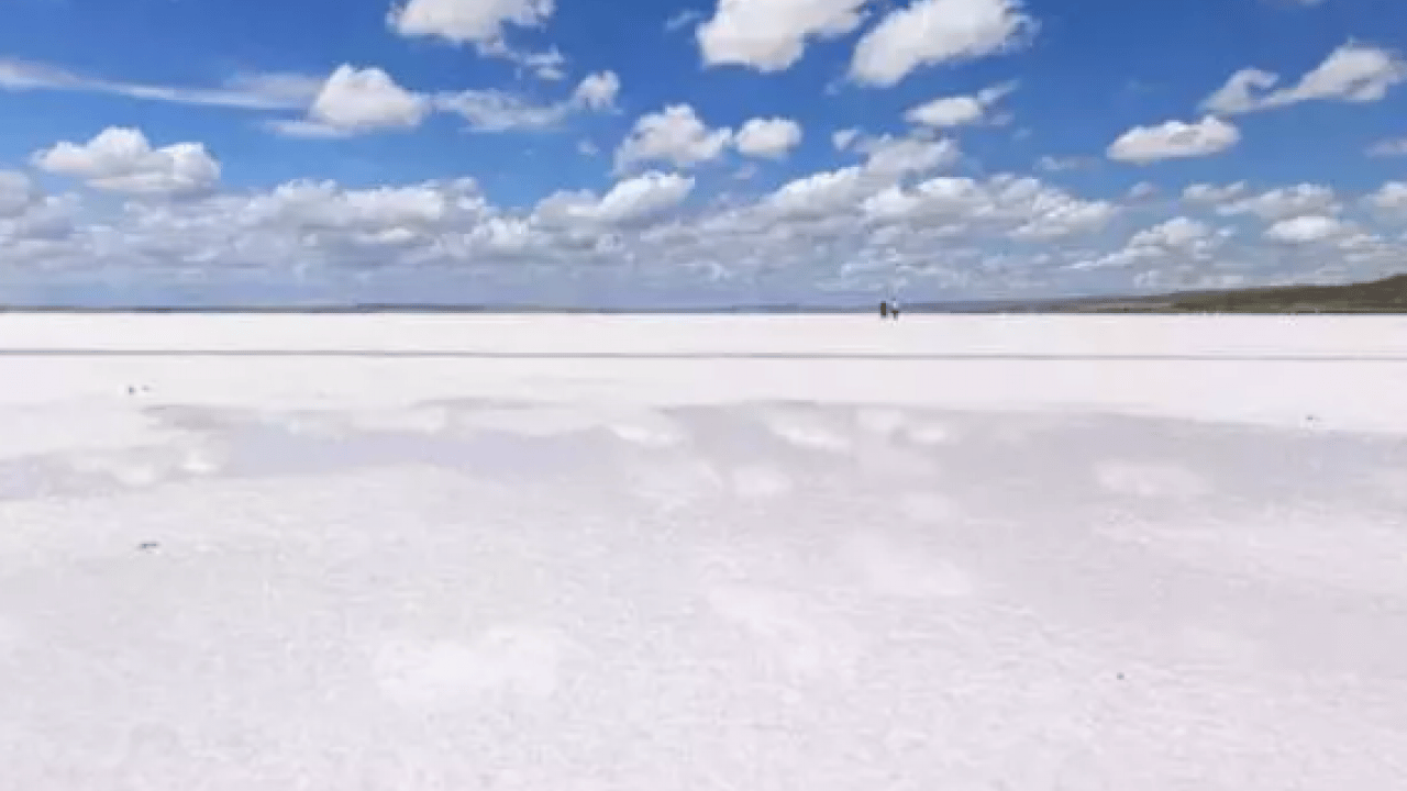 Evini satıp oraya yatırdı! Herkesin alay ettiği iş milyoner yaptı!