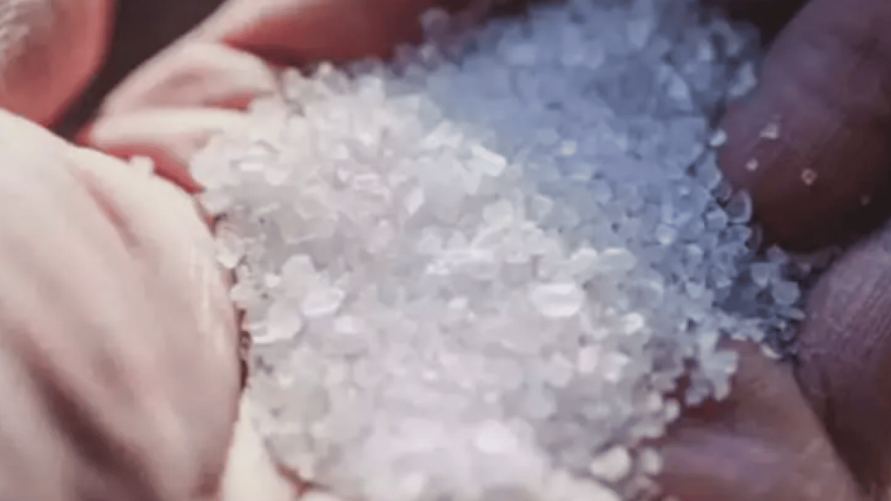 Foto - Evini satıp oraya yatırdı! Herkesin alay ettiği iş milyoner yaptı!