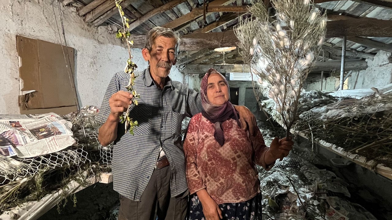 Evinin altında üretiyor: 40 günlük kazancı 216 bin lirayı aştı