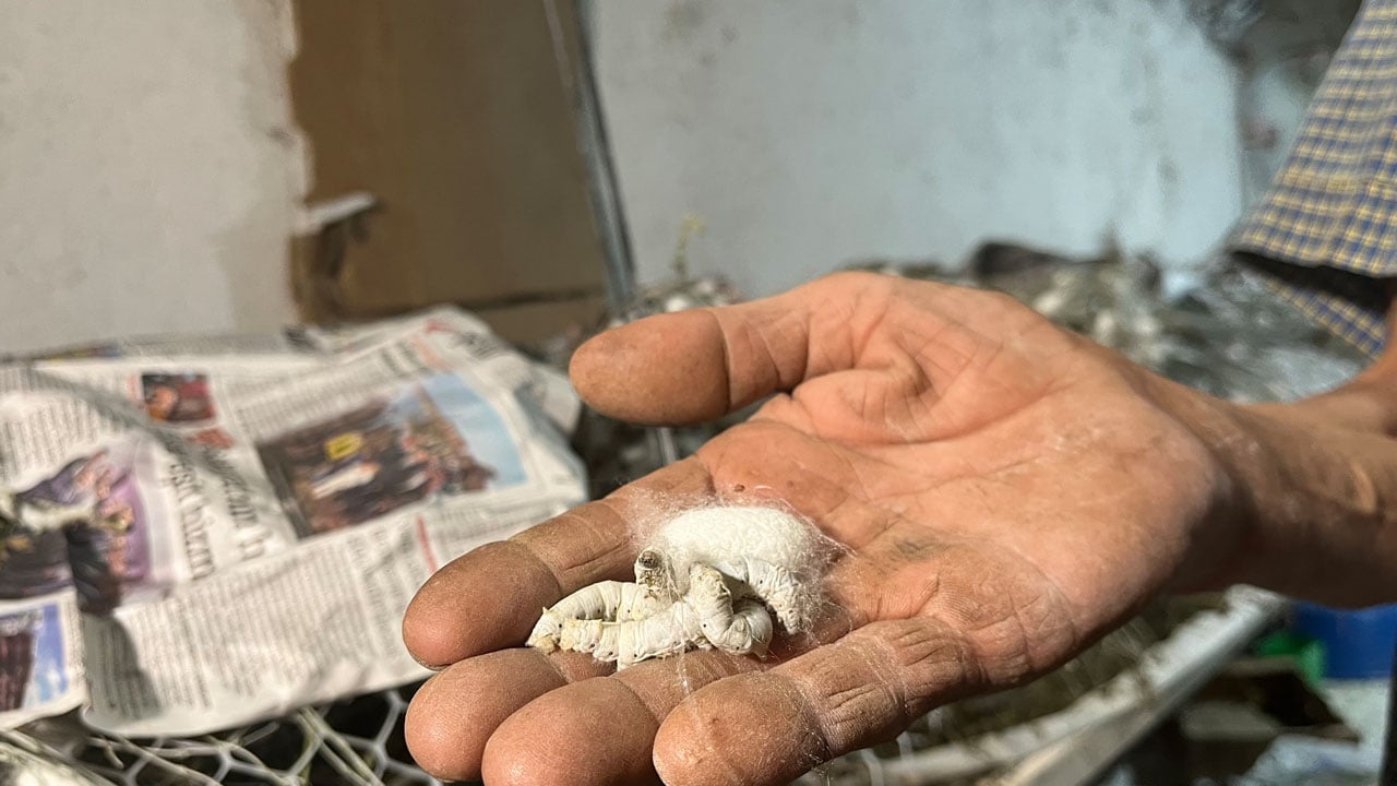 Foto - Evinin altında üretiyor: 40 günlük kazancı 216 bin lirayı aştı
