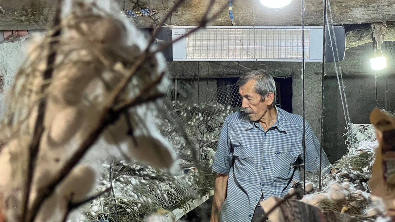 Foto - Evinin altında üretiyor: 40 günlük kazancı 216 bin lirayı aştı
