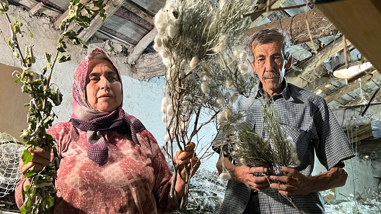 Foto - Evinin altında üretiyor: 40 günlük kazancı 216 bin lirayı aştı