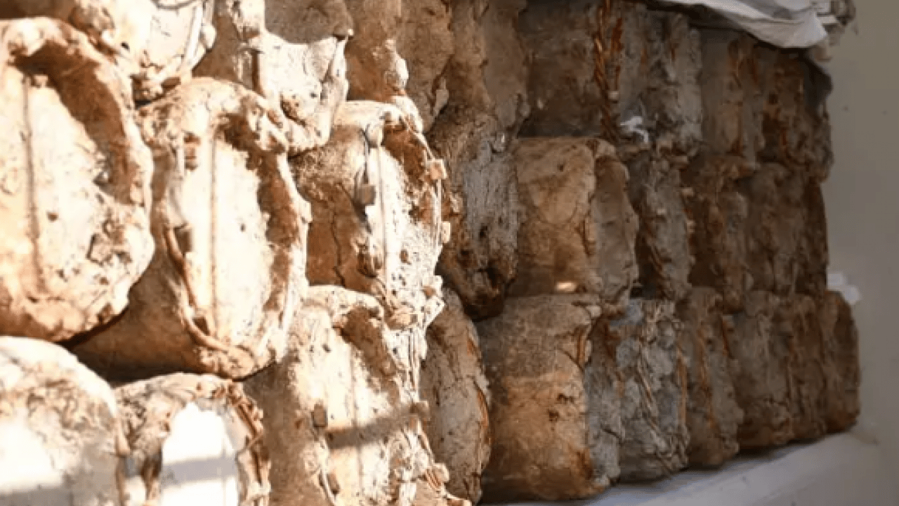 Foto - Evinin odasında muhafaza ediyor: Kilosunu 10 bin TL'den satıyor!