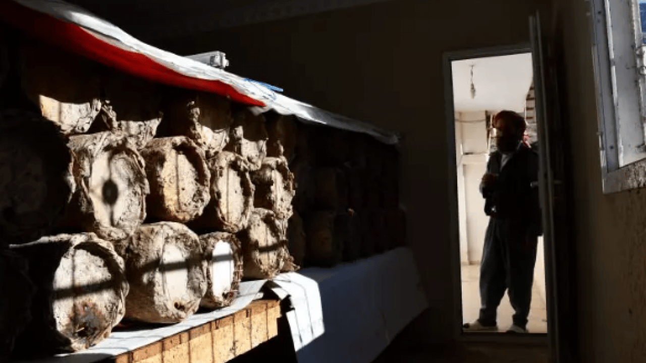 Foto - Evinin odasında muhafaza ediyor: Kilosunu 10 bin TL'den satıyor!