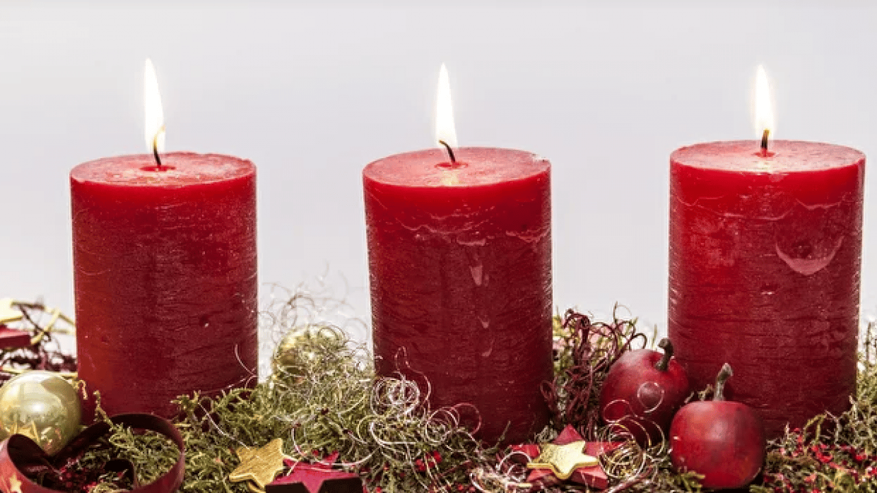 Foto - Evinizdeki gizli katille tanışın: Uzmanlar ‘sakın yakmayın’ diyerek uyardı