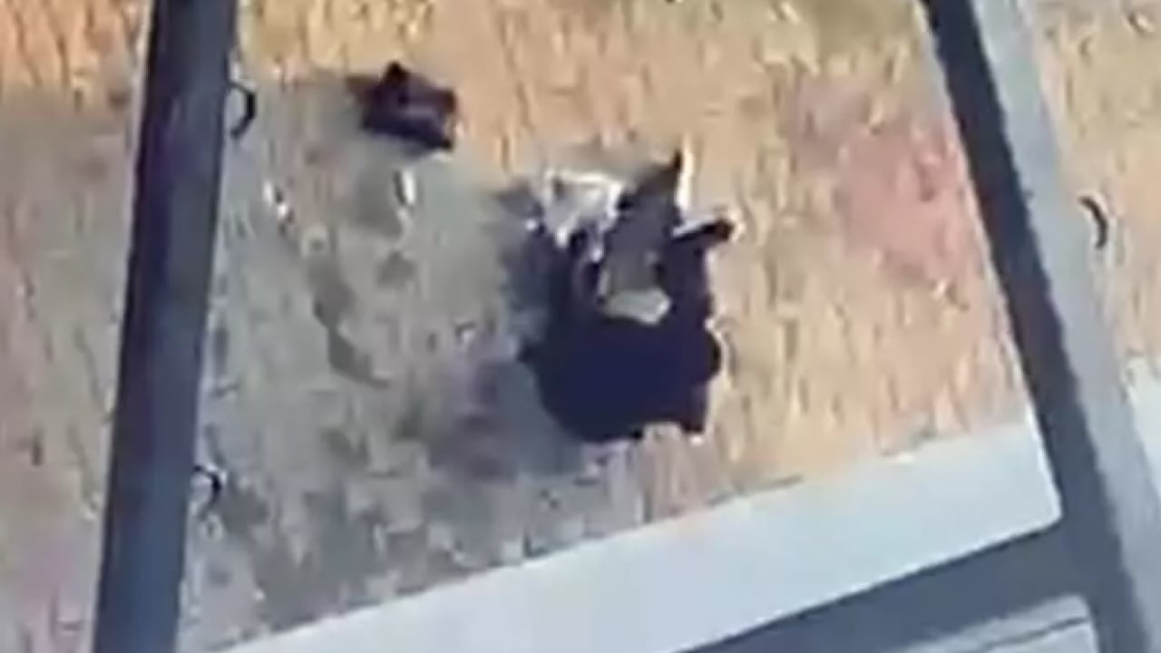 Foto - Evlatlarının yanında kurşun yağdırdı: 'Kanını içsem doymam!'