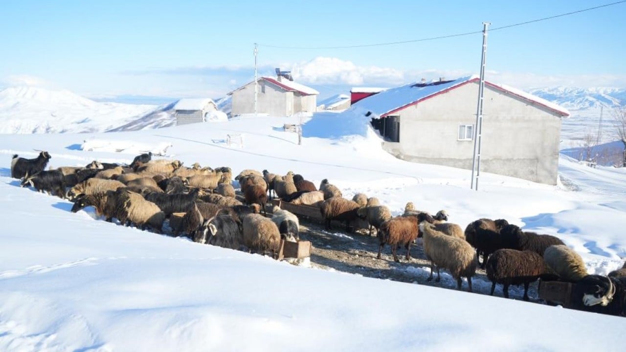 Foto - Evler gözükmüyor, ulaşım tünellerle sağlanıyor Koca bir köy karlar altında kayboldu