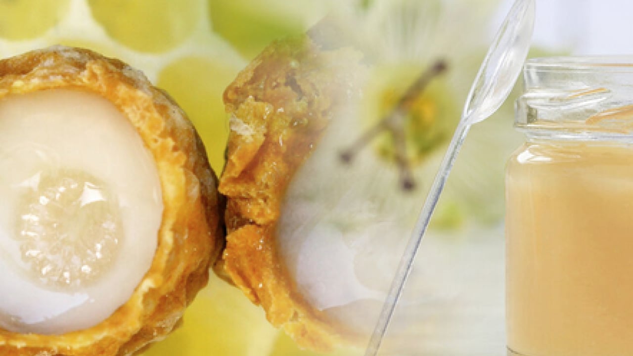 Foto - Ezber bozan araştırma sonuçları açıklandı: Doğal sanılan her arı sütü kaliteli mi işte cevabı...