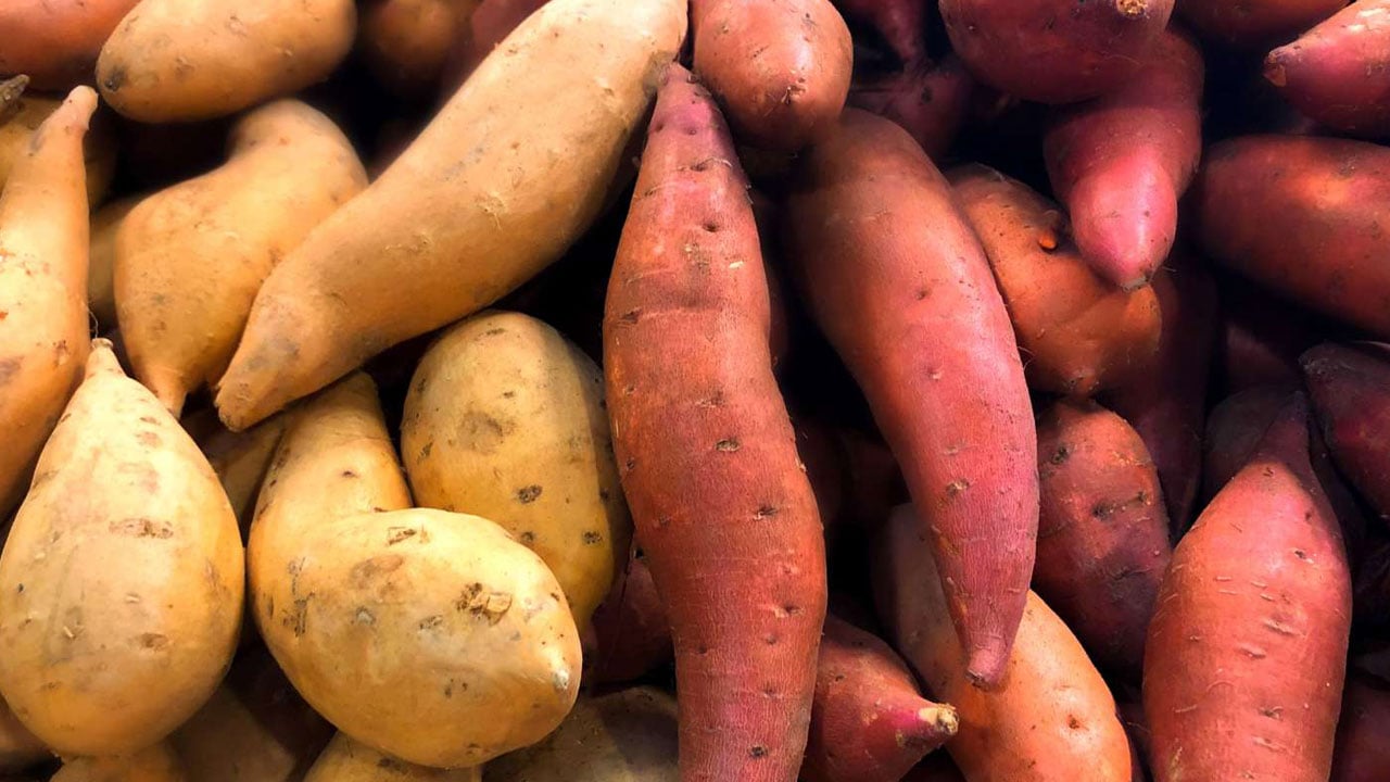 Foto - Ezber bozan gerçek! Tatlı patates mi normal patates mi daha sağlıklı?
