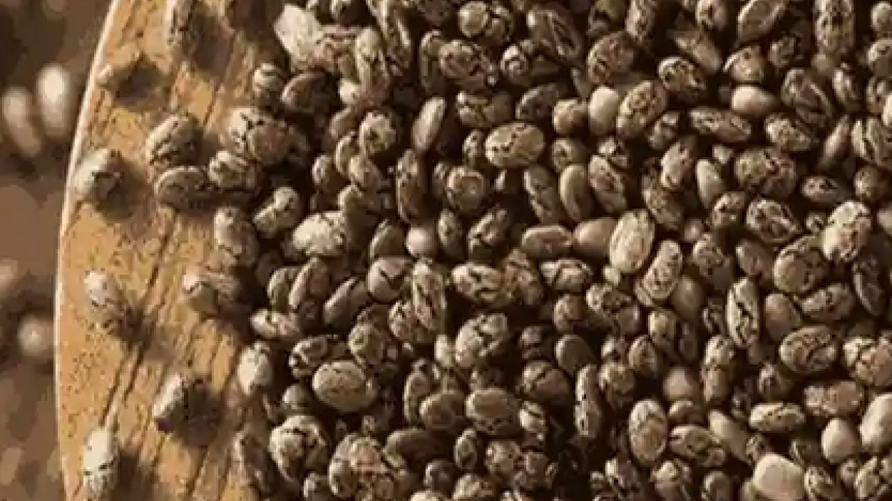 Faydaları neler? Chia sulu zayıflama içeceği nasıl yapılır? Tok tutan ve pratik tarif