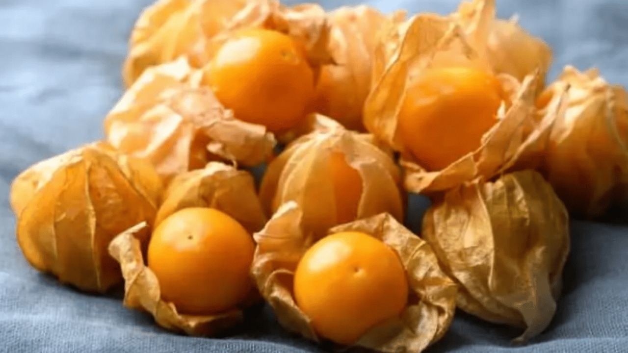 Foto - Faydaları saymakla bitmiyor: İşte her derde deva altın meyve!