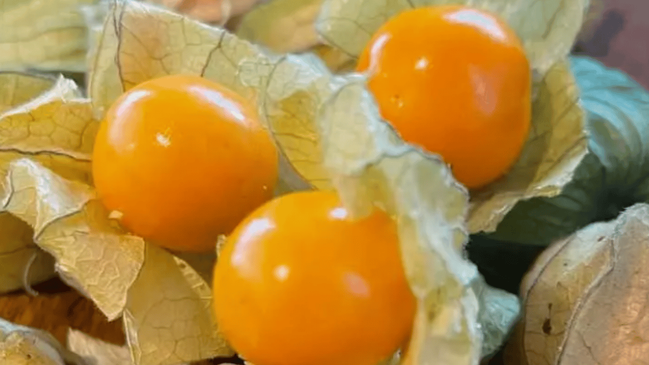 Foto - Faydaları saymakla bitmiyor: İşte her derde deva altın meyve!