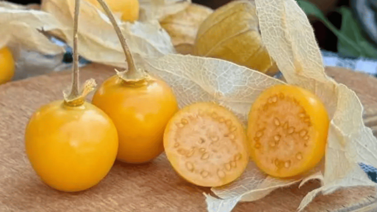 Foto - Faydaları saymakla bitmiyor: İşte her derde deva altın meyve!