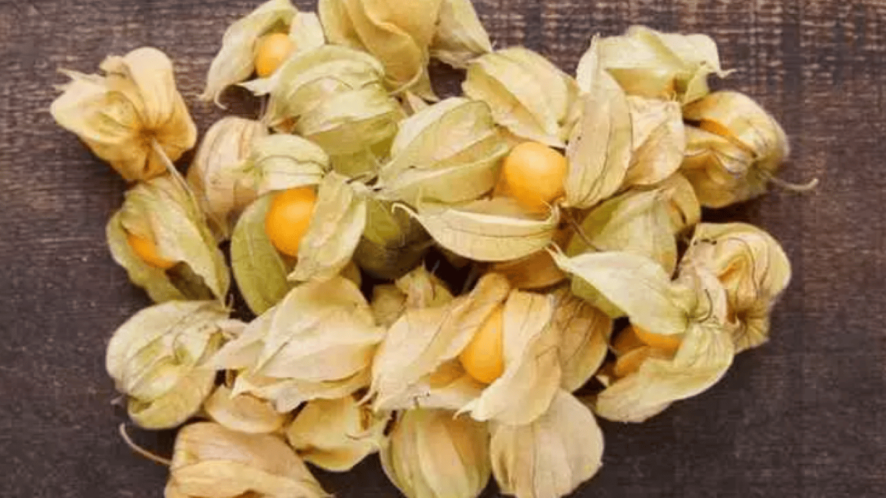 Foto - Faydaları saymakla bitmiyor: İşte her derde deva altın meyve!