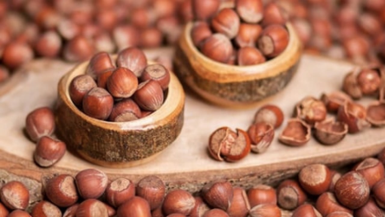 Foto - Faydası kadar zararı da olabilir mi? Fındık alerji yapar mı? Aman dikkat!