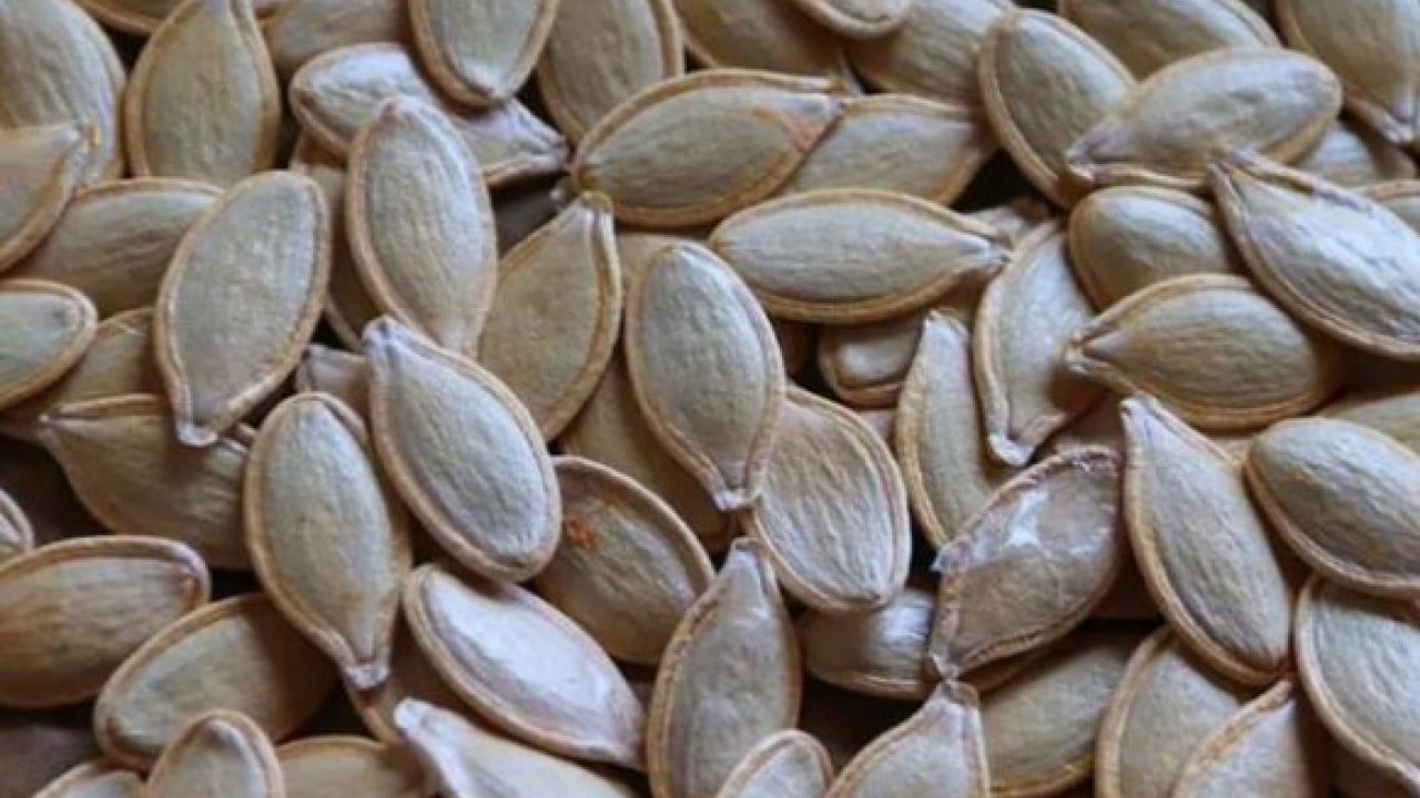 Foto - Faydası şaşırtıyor! Uyumadan önce kabak çekirdeği yerseniz...