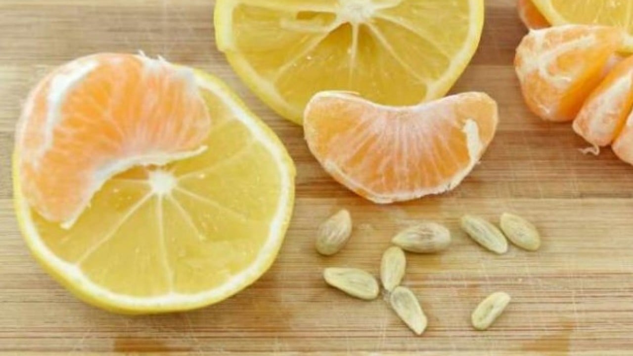 Foto - Faydasını duyunca şaşıracaksınız! Limon çekirdeklerini sakın çöpe atmayın