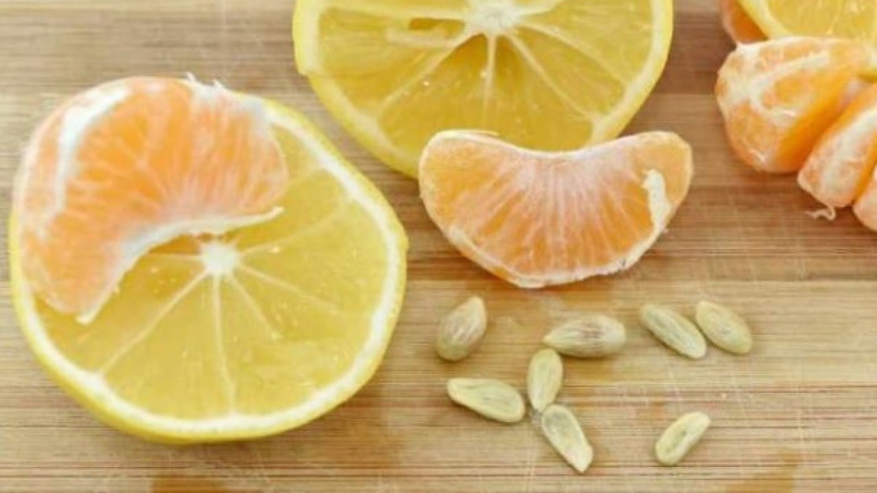 Foto - Faydasını duyunca şaşıracaksınız! Limon çekirdeklerini sakın çöpe atmayın