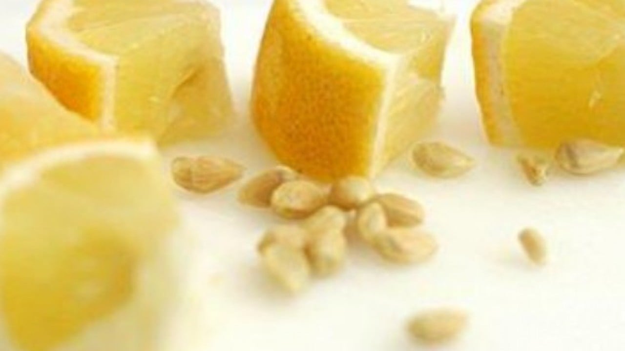 Foto - Faydasını duyunca şaşıracaksınız! Limon çekirdeklerini sakın çöpe atmayın